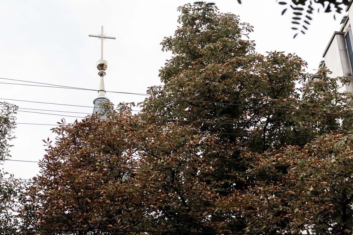 Фото Дмитрия Федорова