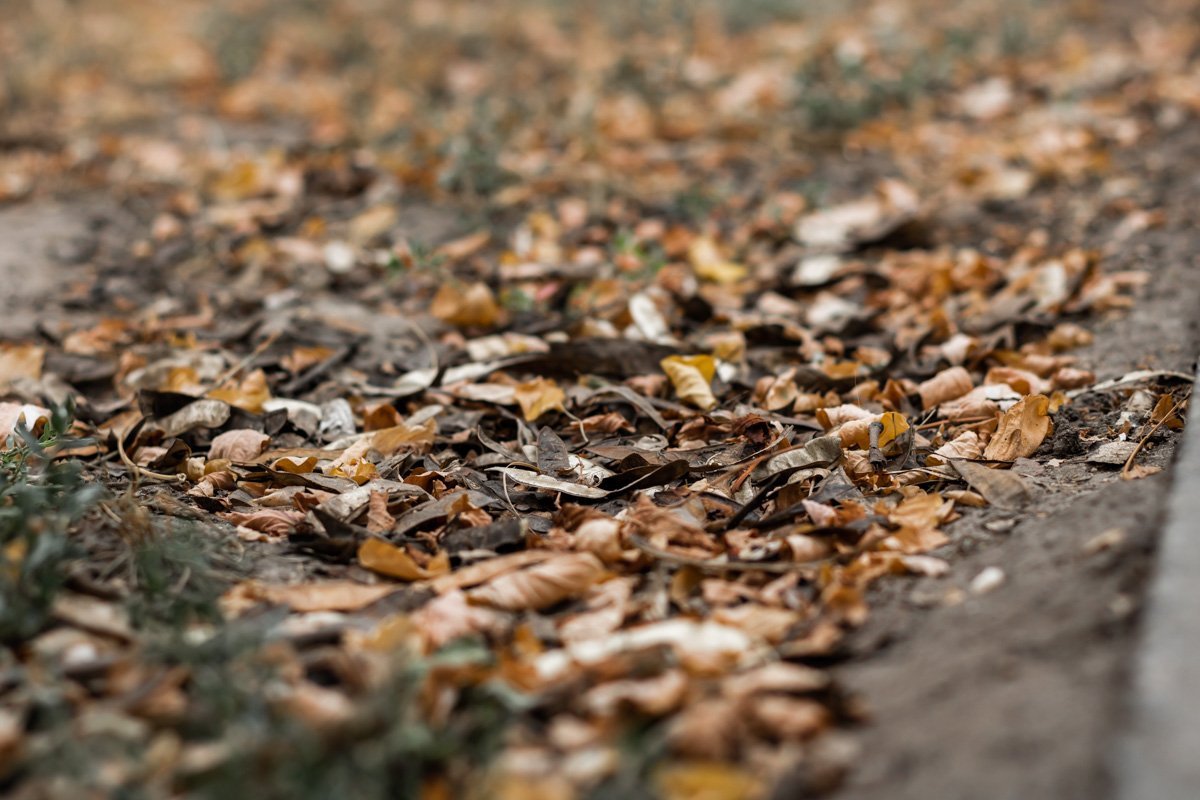 Осенний винегрет 