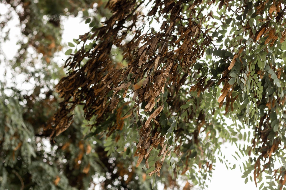 Фото Дмитрия Федорова