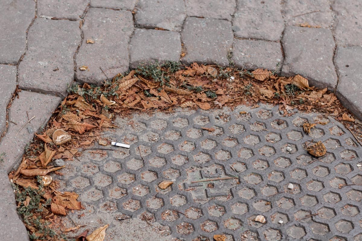 Человек и осень