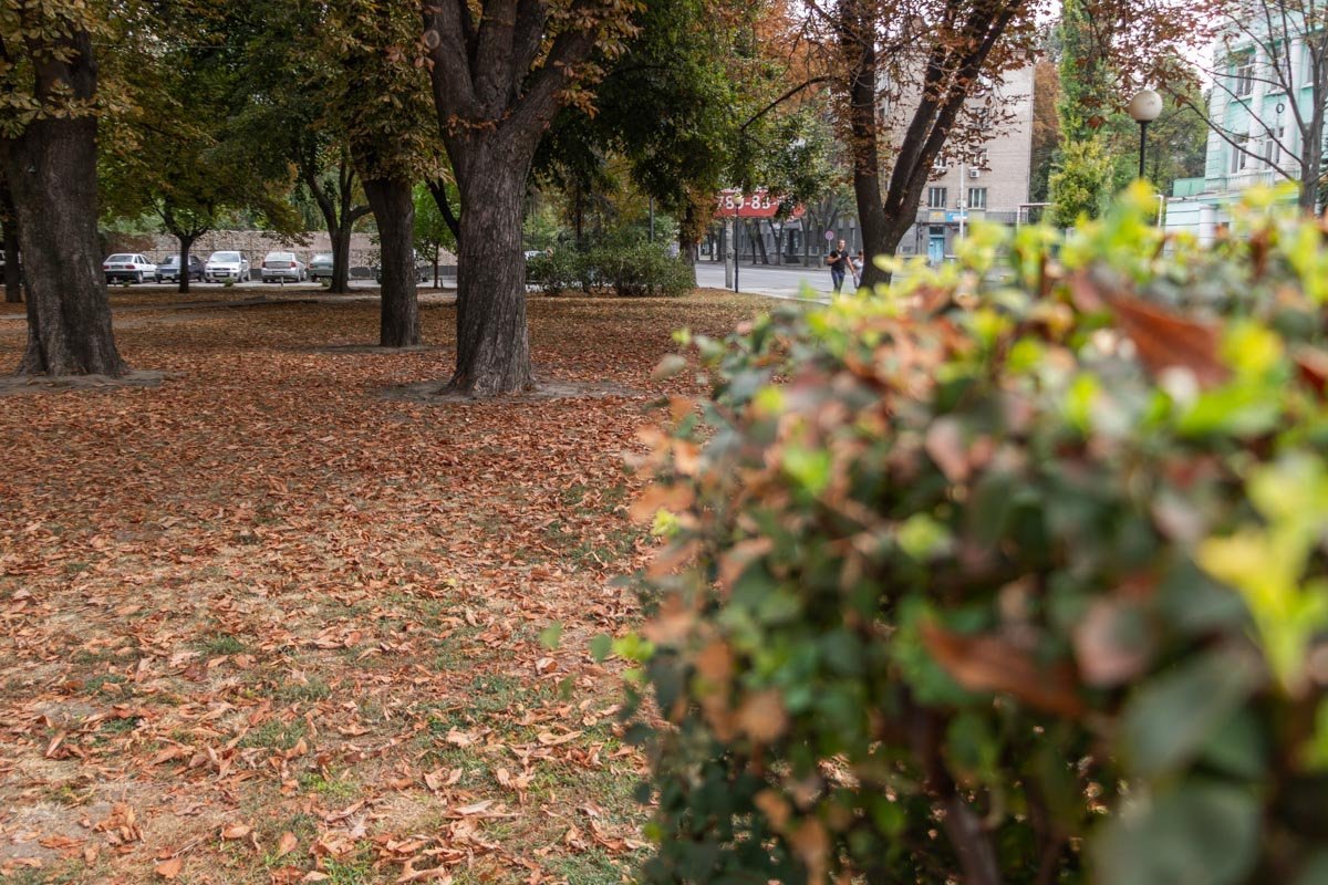 Будущая студия для фотосессий