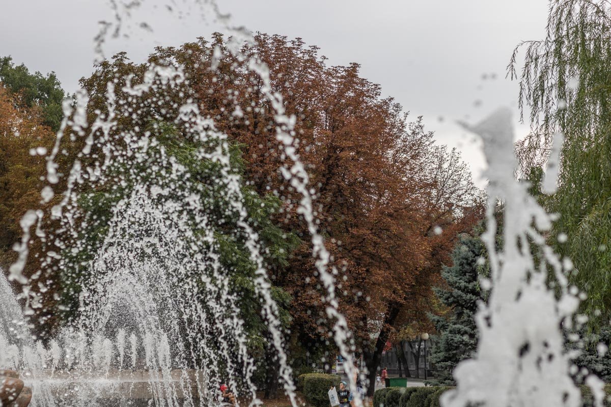 Фото Дмитрия Федорова