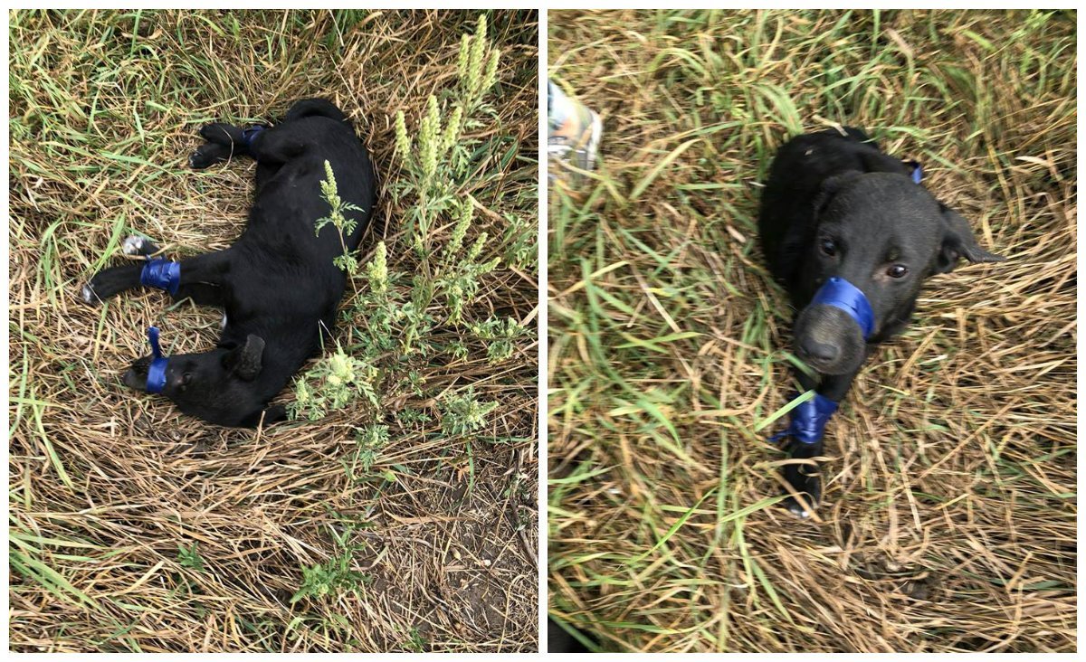 Для таких людей откроют 10й круг  Для таких людей откроют 10й круг