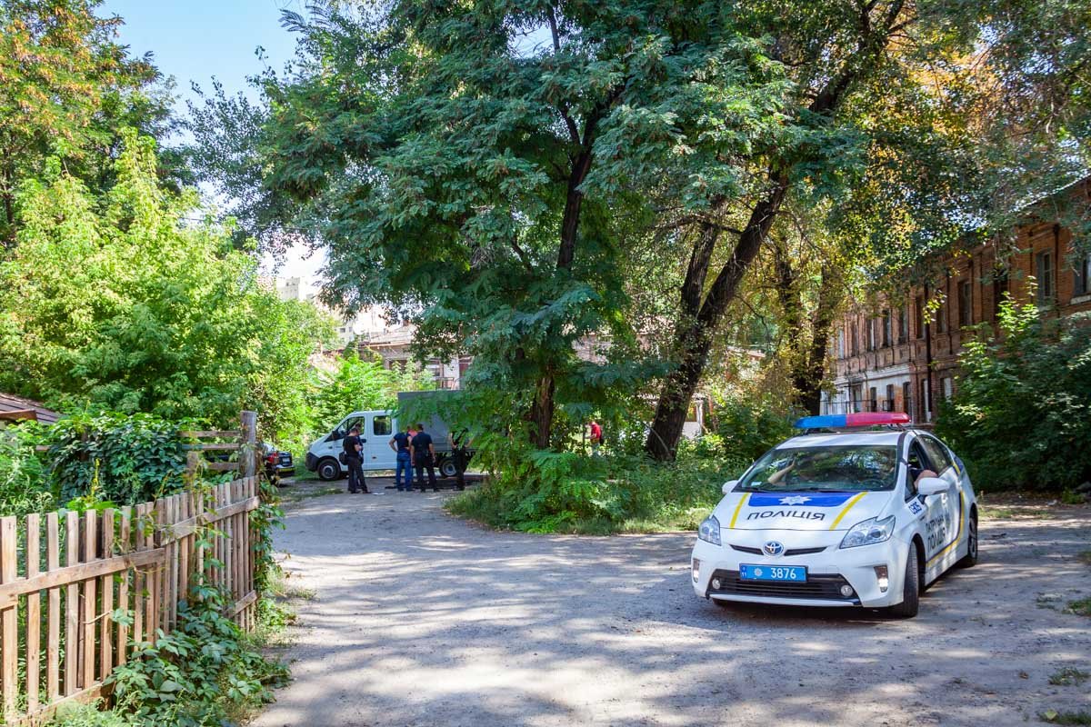 Забор защищал от нежелательных гостей 