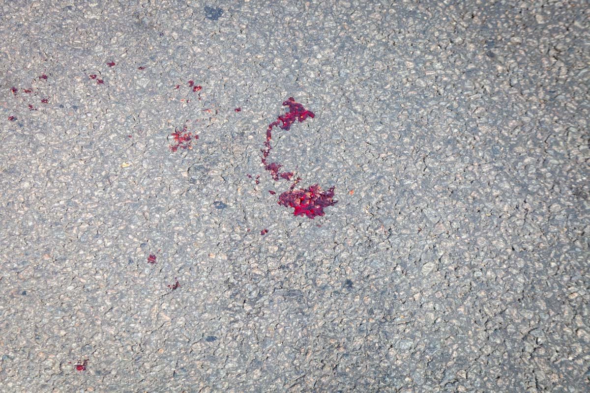 На место выехал патруль полиции