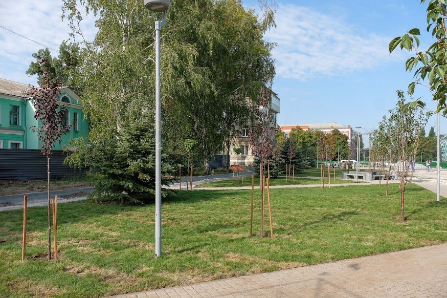 «Музыкальный» фонтан и японские сакуры: в Новомосковске завершают реконструкцию центральной площади города 12