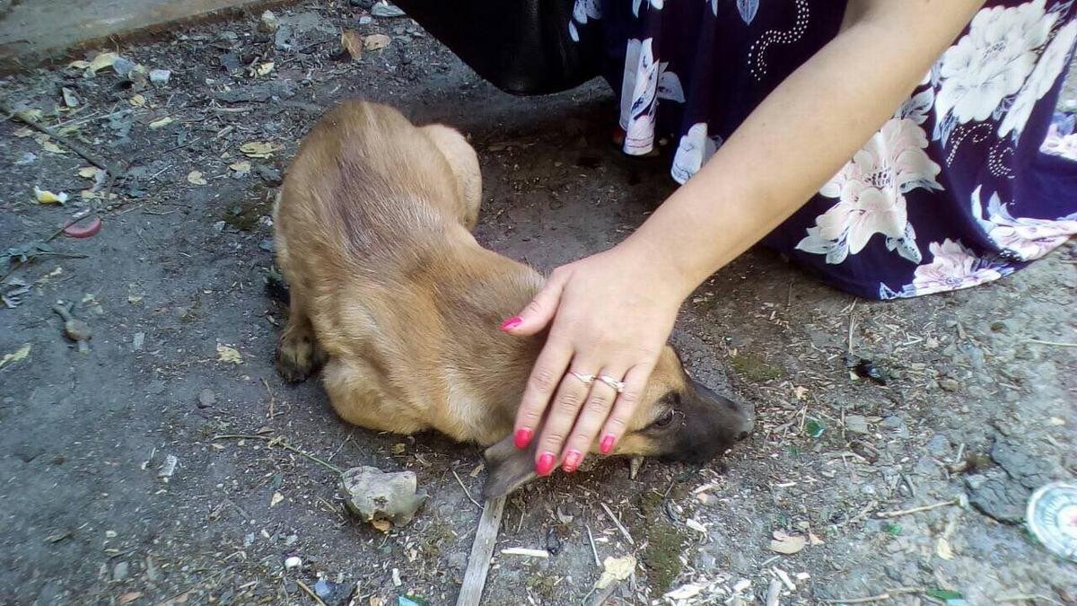 Больше жизни малыша ничего не угрожает