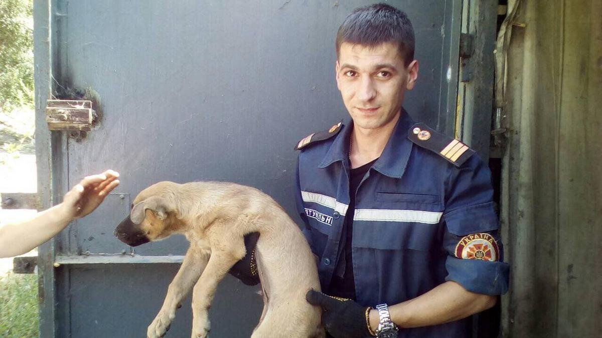 Не бойтесь брать на себя ответственность за чью-то жизнь, а особенно, когда действительно можете чем-то помочь