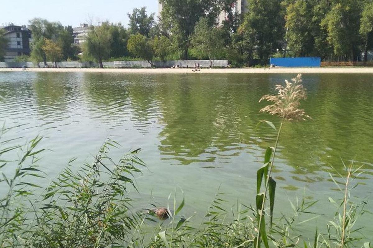 Тело мужчины в воде обнаружил парень, который занимался греблей Тело мужчины в воде обнаружил парень, который занимался греблей