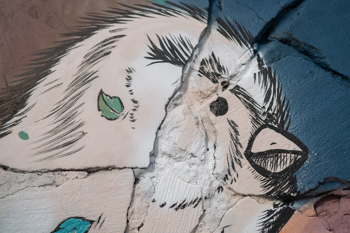 Красота в деталях