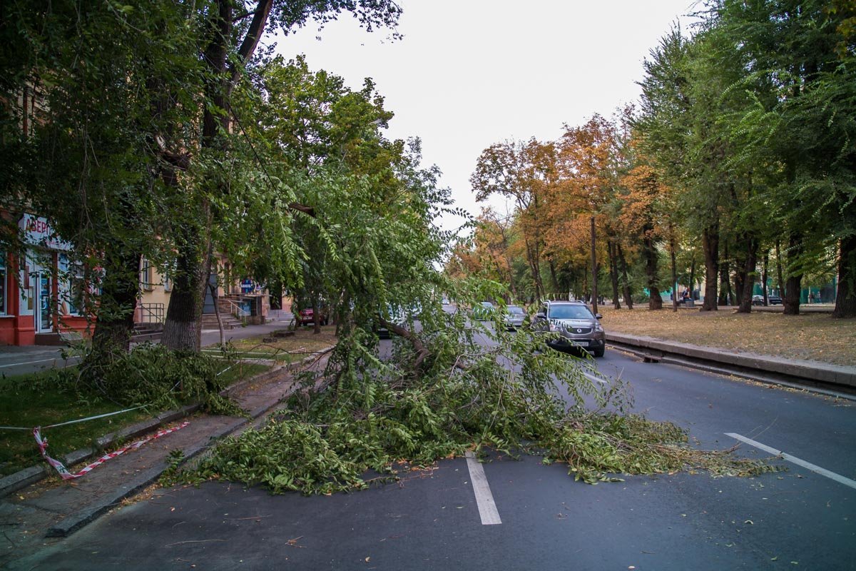 Небольшой сюрприз от погоды на улице Княгини Ольги