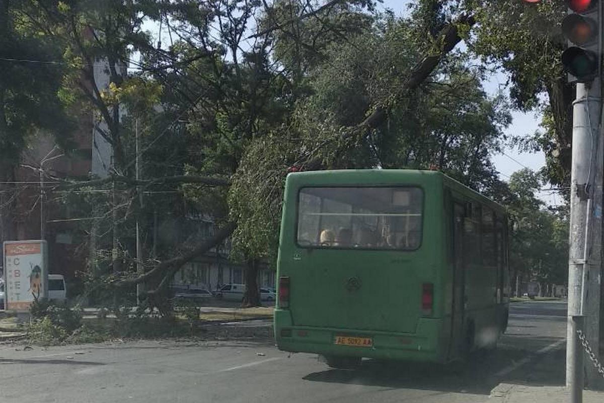 Лиственная преграда для автомобилей на перекрестке проспекта Пушкина и Андрея Фабра