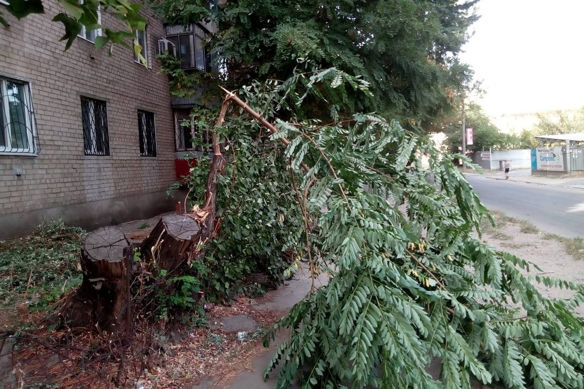 Еще один сюрприз на улице Тверской