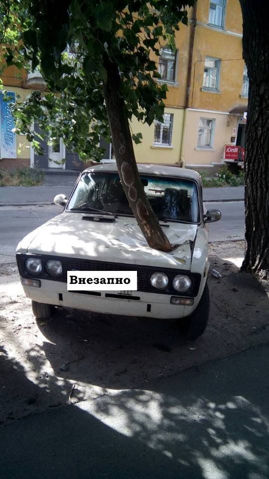 Я знаю, на что ты потратишь свою зарплату