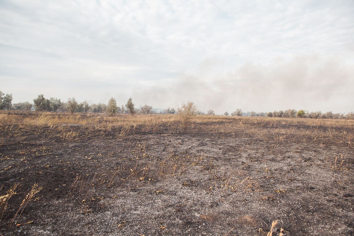 В Службу спасения сообщили, что в селе Новоселовка загорелась сухая трава