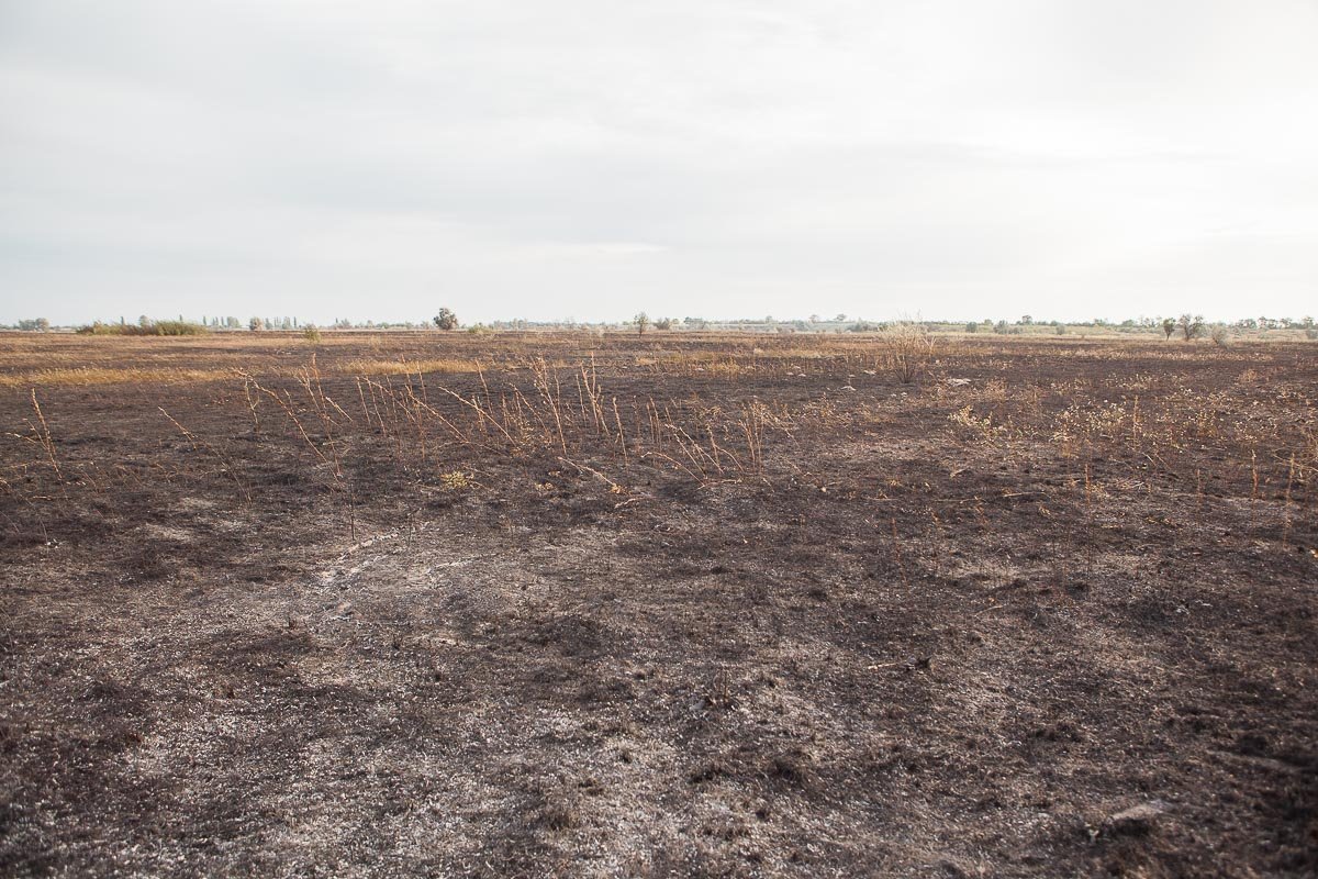 Как сообщили в пресс-службе ГСЧС балка начала гореть еще утром 6 сентября