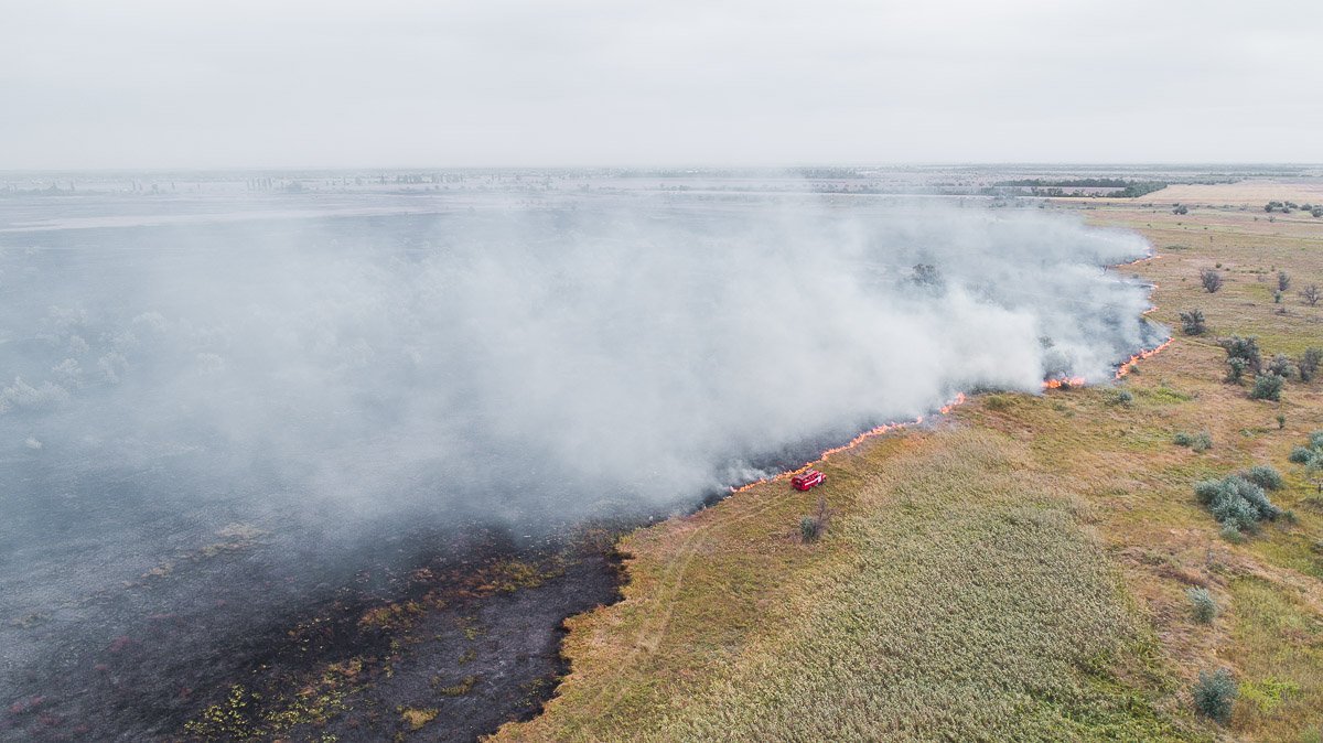 Фото: Андрей Шушпан