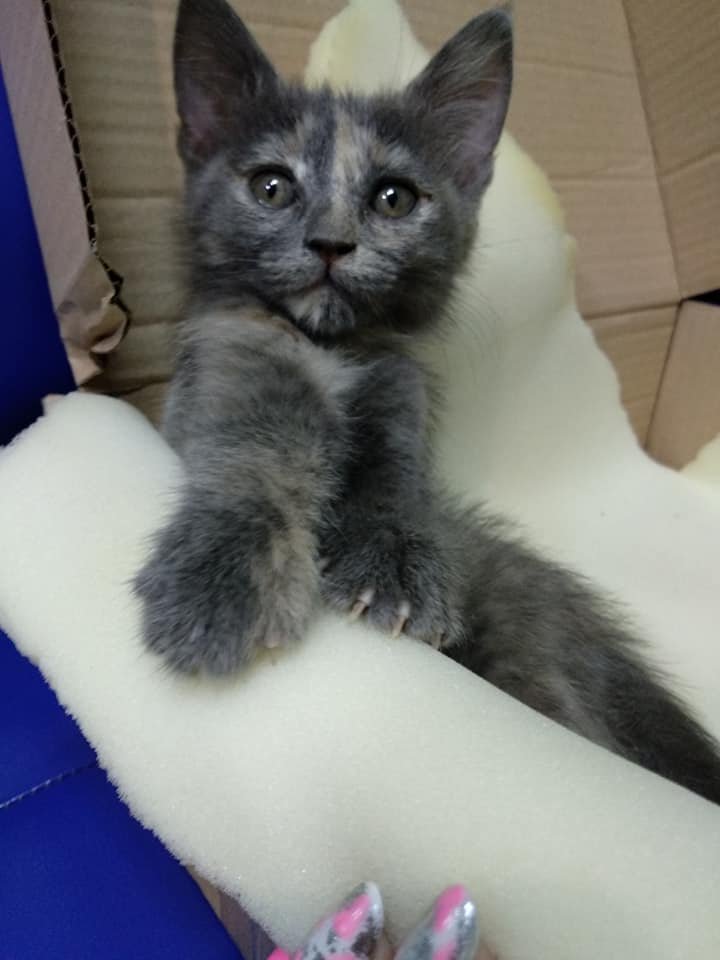 Ждет тебя Ждет тебя