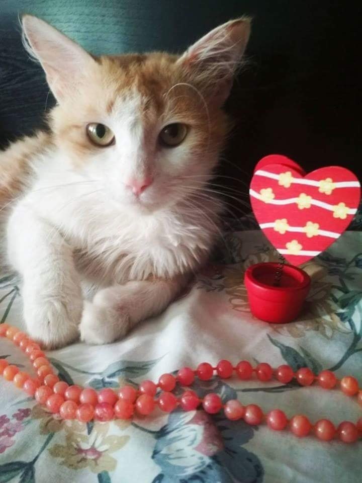 Просто забери меня Просто забери меня