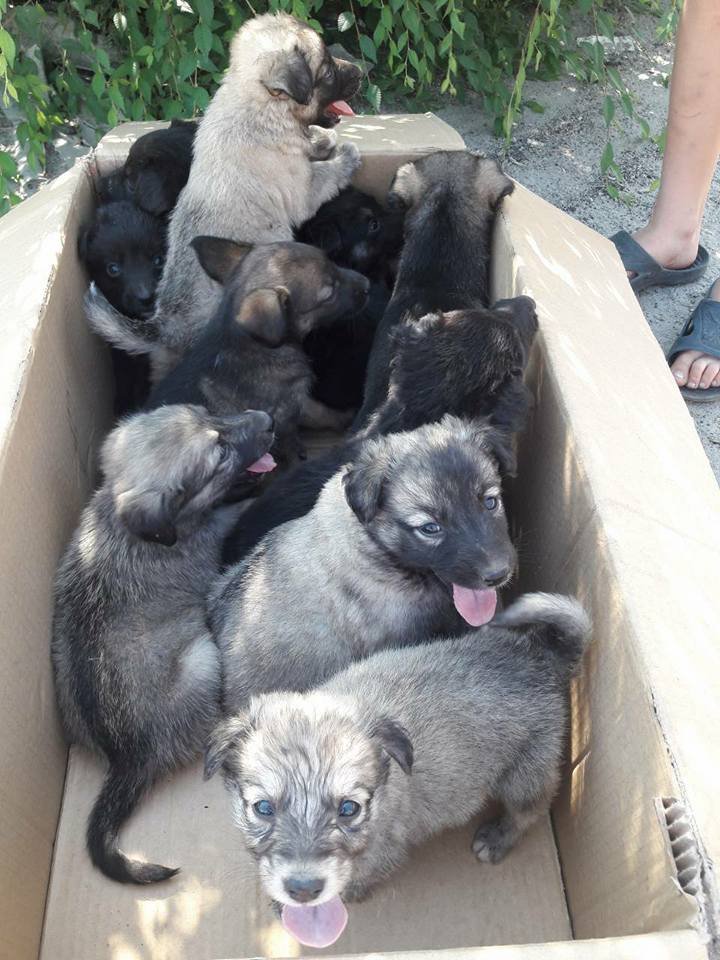 Выбирайте Выбирайте