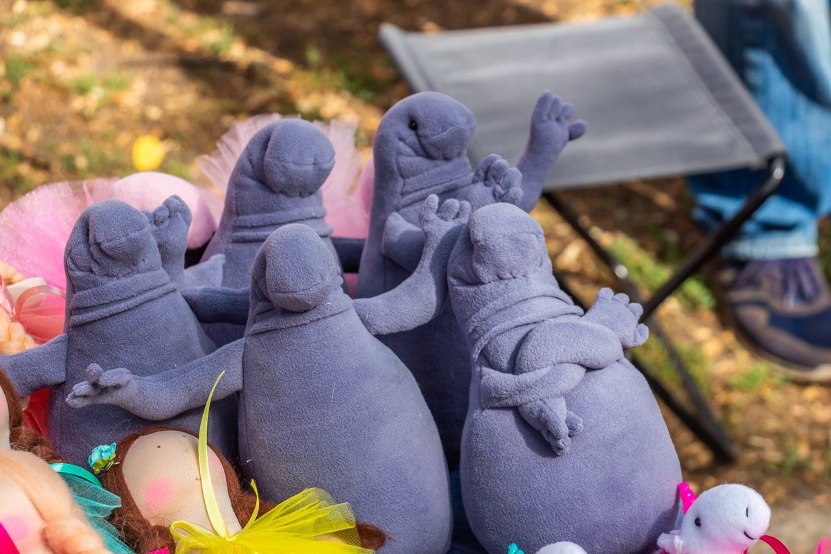 Ждут покупателей