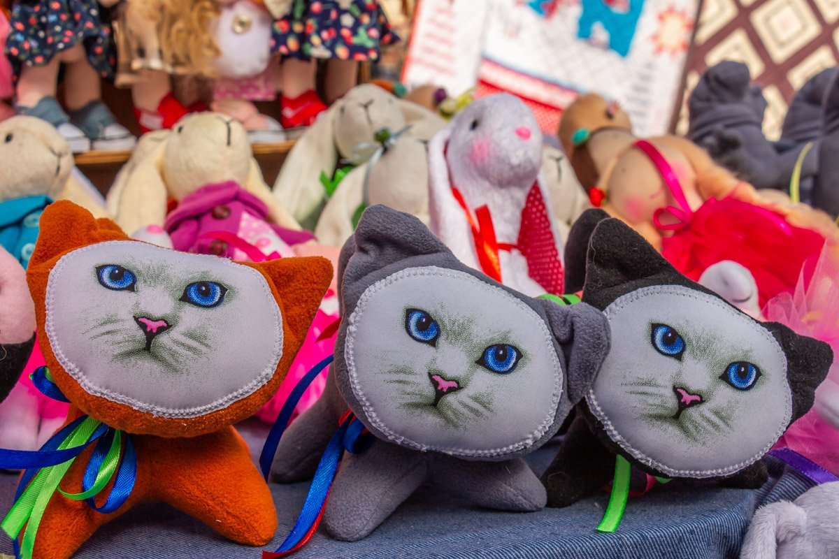 Суровые котики