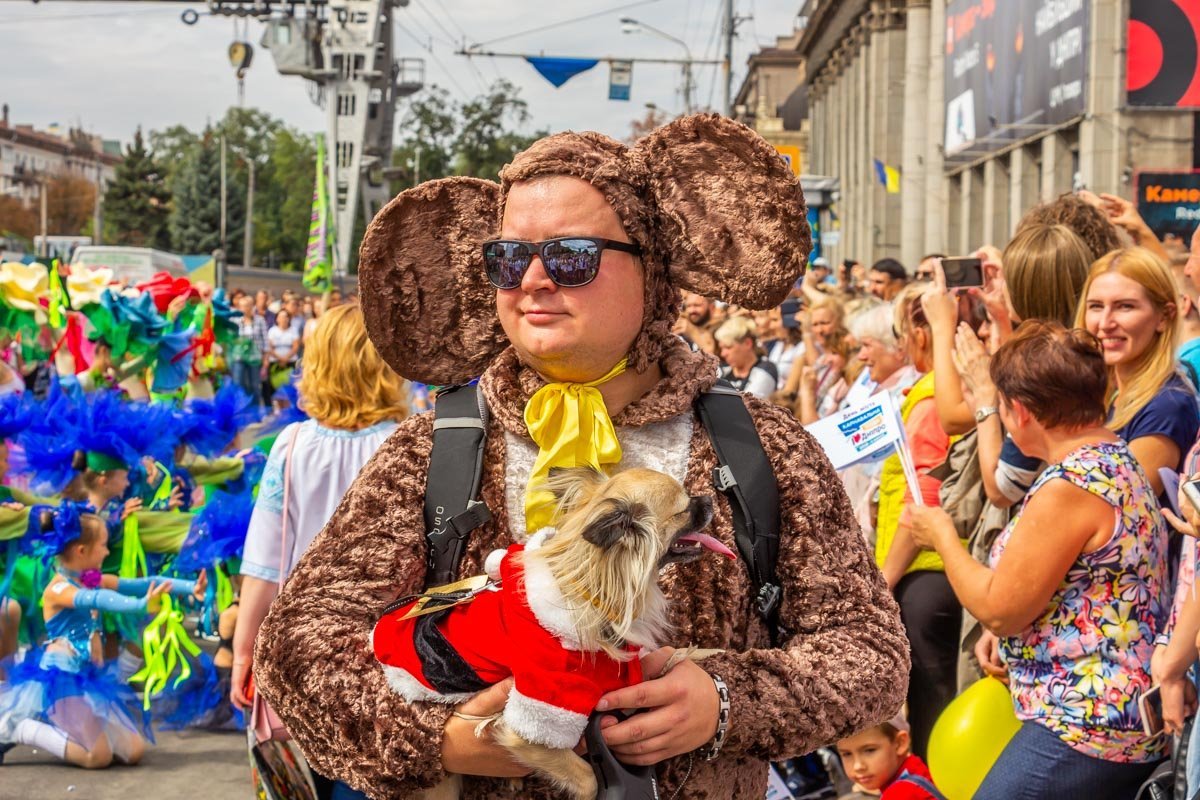 Собака не рада такому дизайнерскому решению