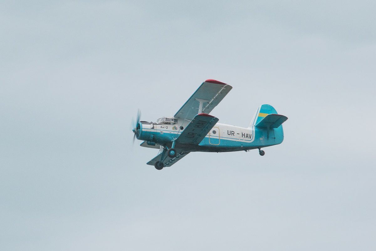 Шоу поистине фееричное 