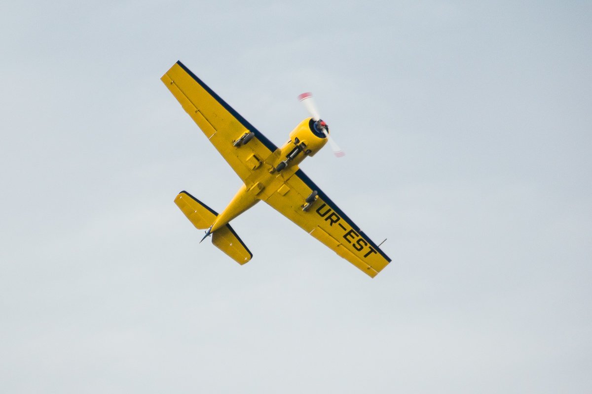 Как игрушечный