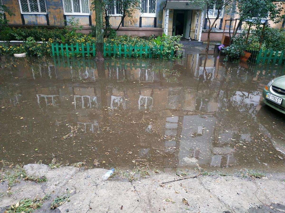 В одном из дворов на Софьи Ковалевской. Фото очевидца