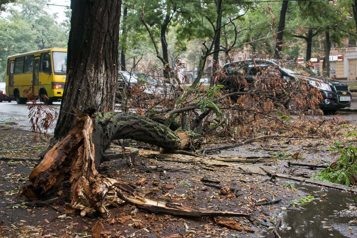 Рай для владельцев печи в доме