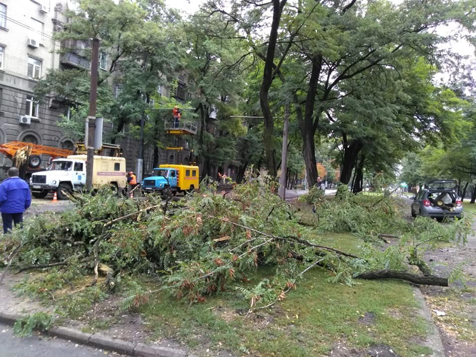 Не устояв перед соблазном, мужчина взял бензопилу и отпилил несколько бревен