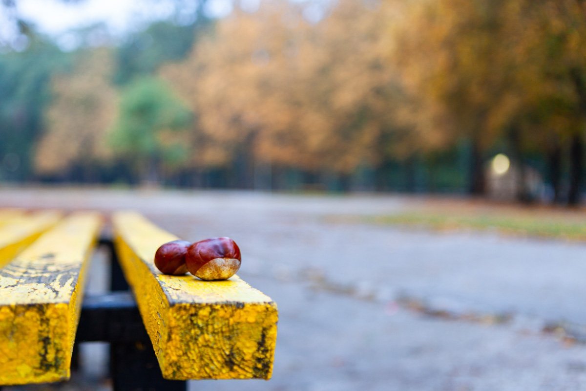 В это время года город прекрасен по-своему В это время года город прекрасен по-своему