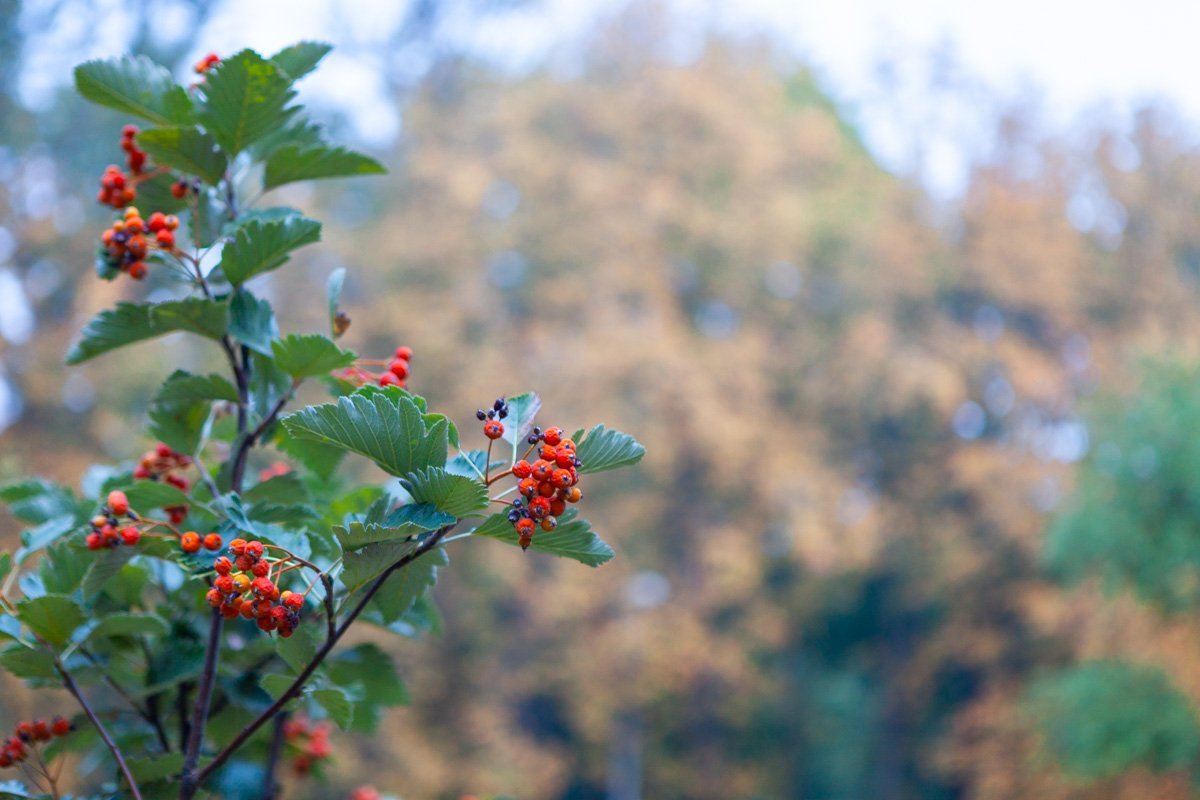 Фото: Влад Лестев Фото: Влад Лестев