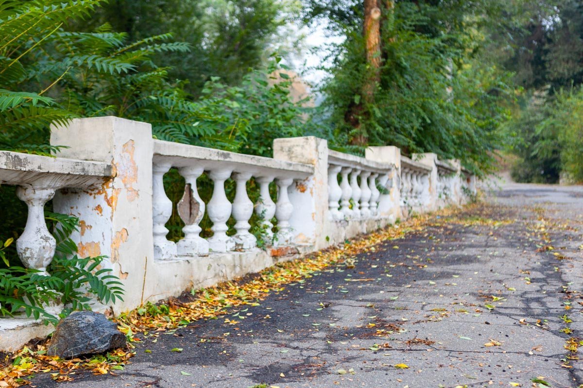 Уже не слышно пения птиц Уже не слышно пения птиц