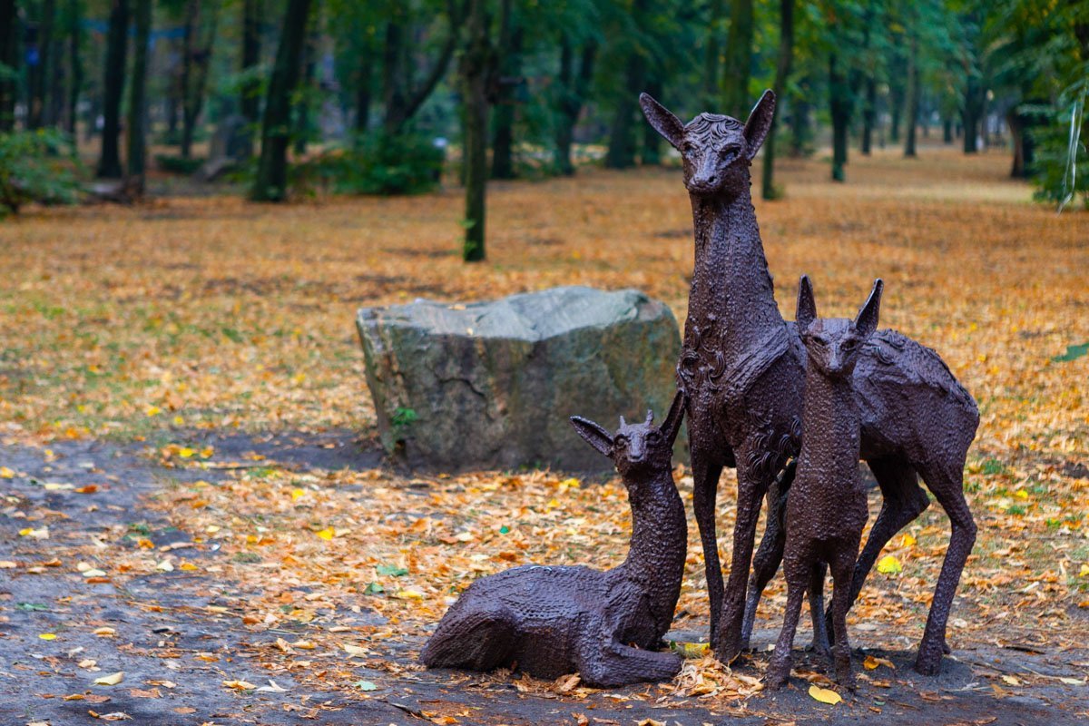 Фото Владислава Лестева Фото Владислава Лестева