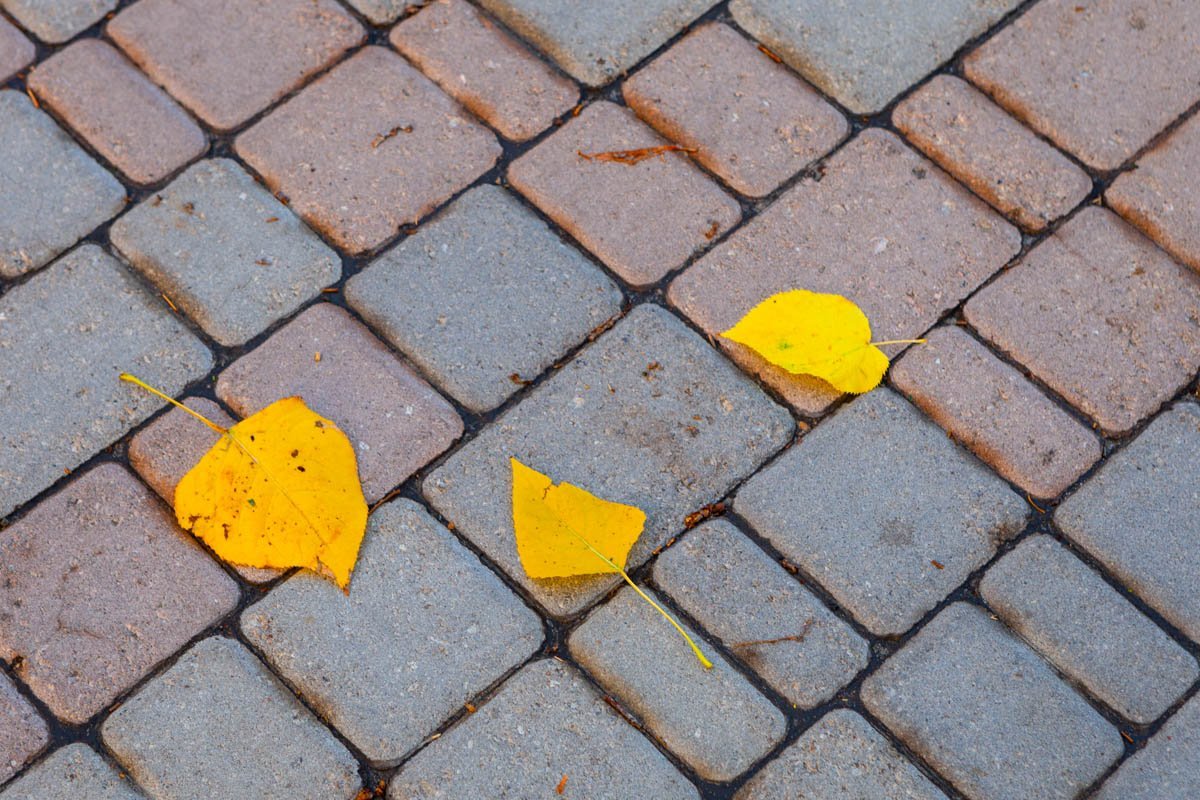 Красота кроется в мелочах Красота кроется в мелочах