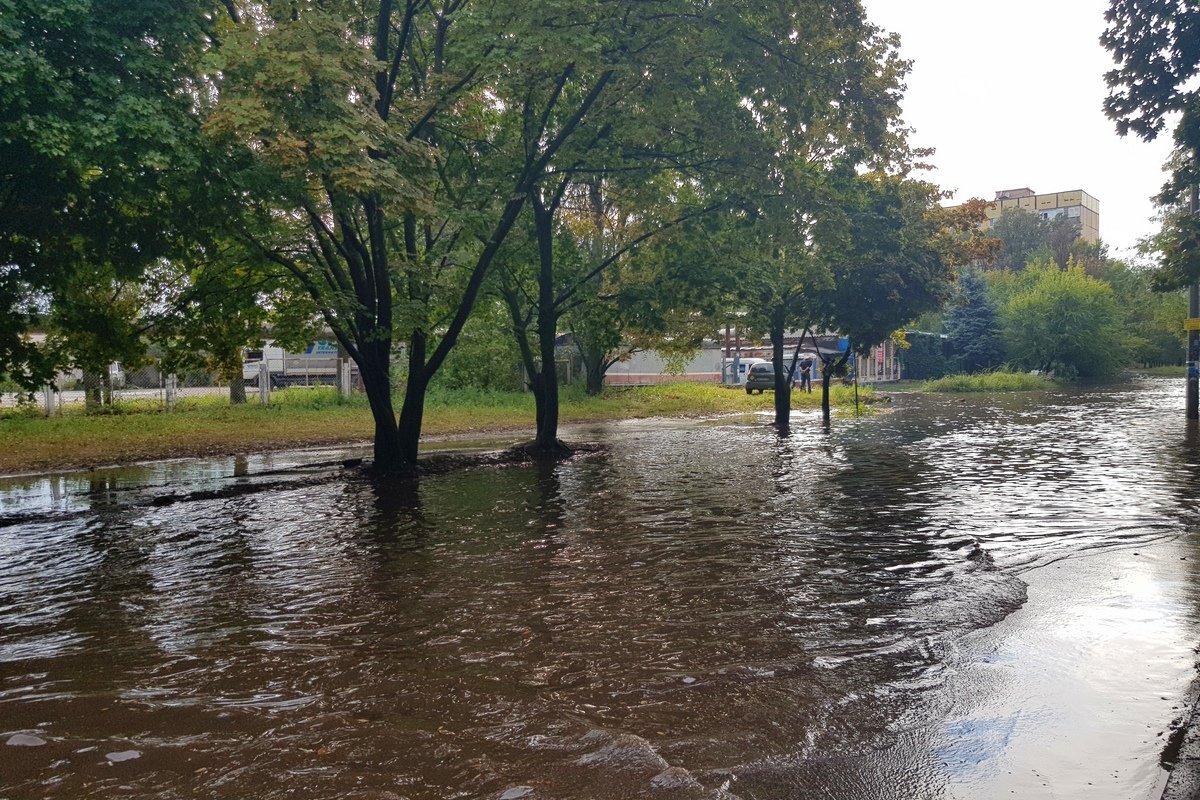 Количество воды примерно такое же, как в твоей курсовой работе Количество воды примерно такое же, как в твоей курсовой работе