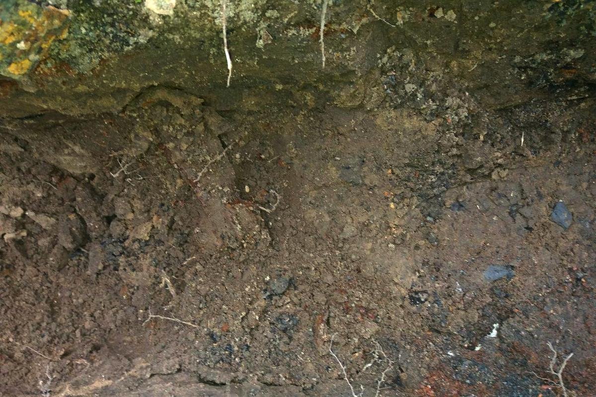 В земле во дворе частного дома десятки лет лежал боеприпас времен ВОВ В земле во дворе частного дома десятки лет лежал боеприпас времен ВОВ