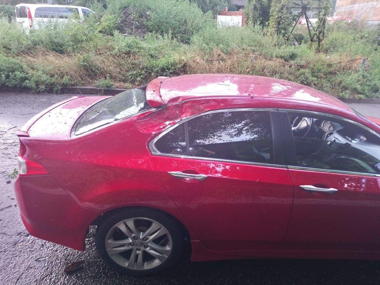 Автомобиль ехал, когда на него свалилось дерево