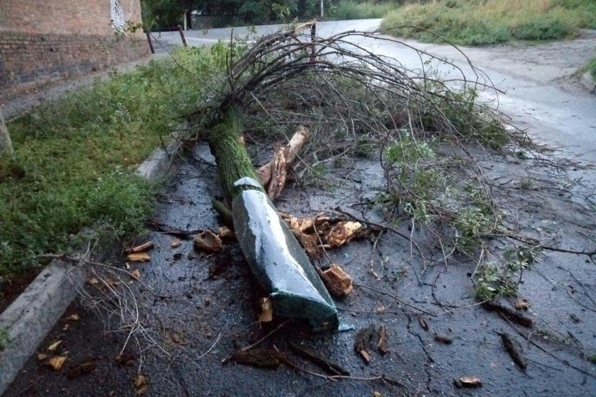 Из-за упавшего дерева проезд по улице Симферопольской затруднен