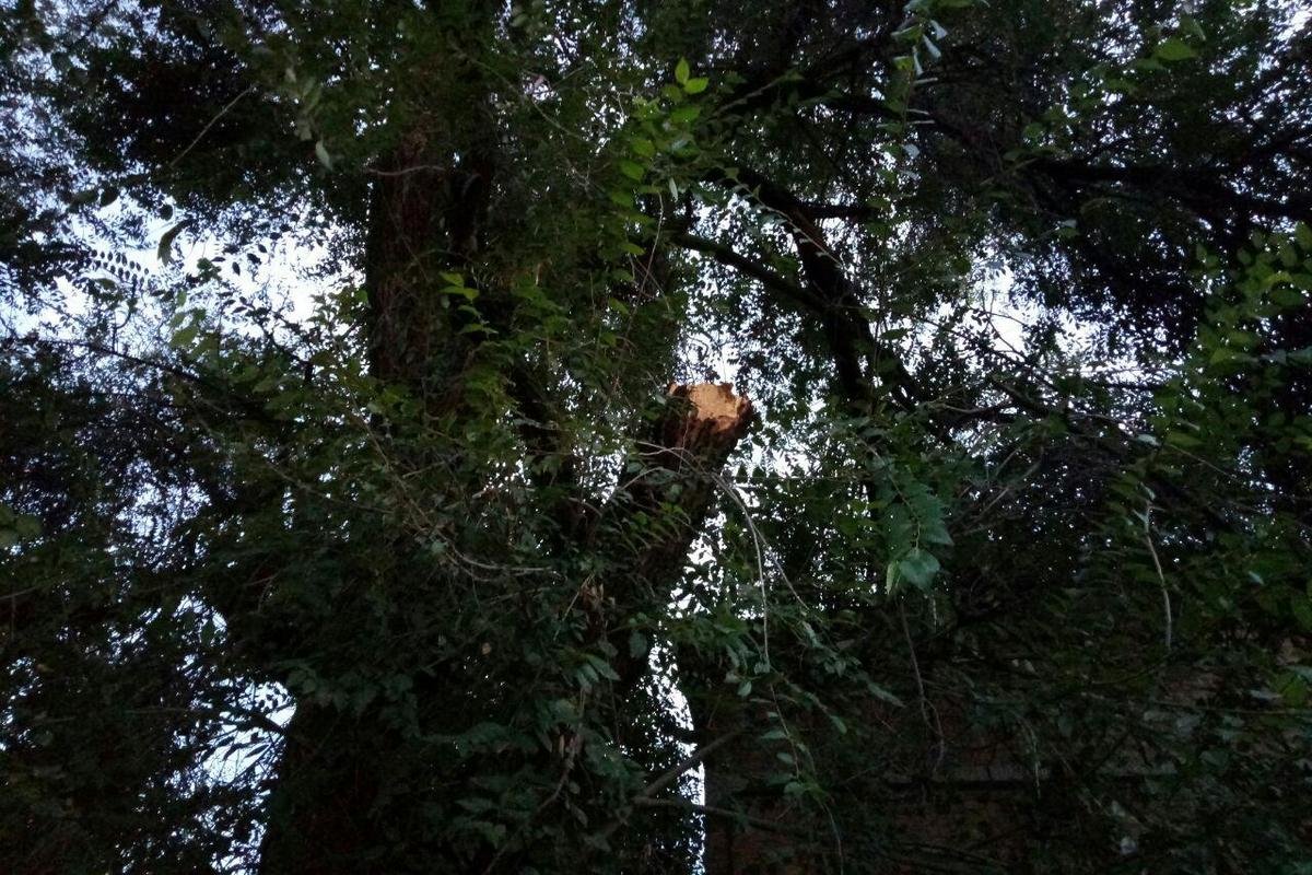 Который день подряд из-за непогоды страдают люди