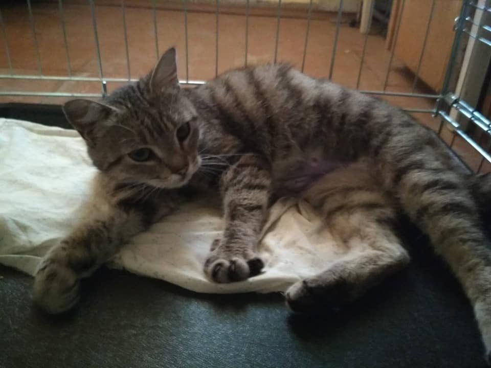 Маленький ждун Маленький ждун