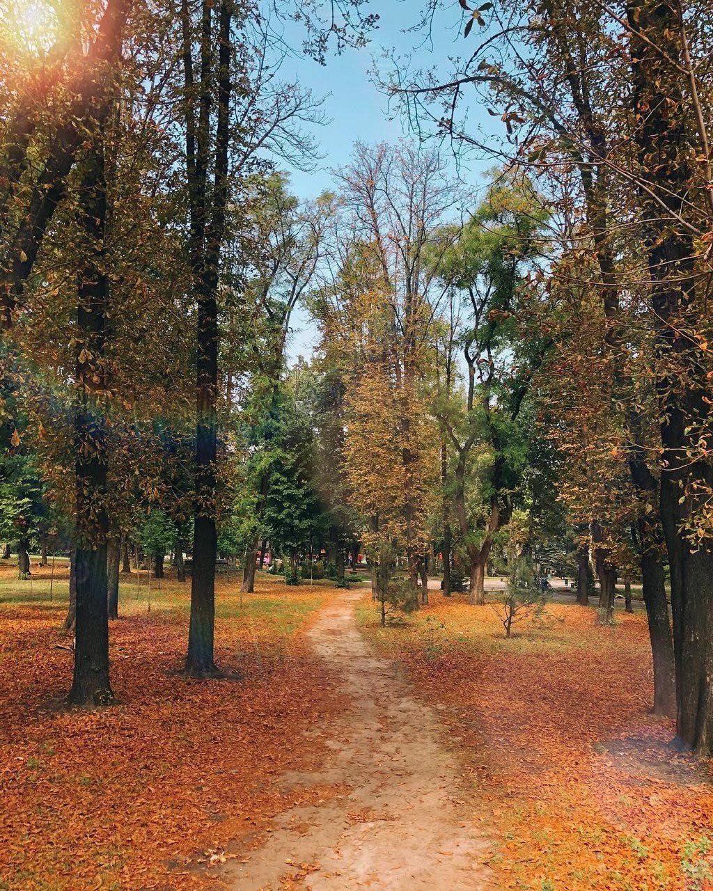 Чувствуете запах? Фото: daash_nko