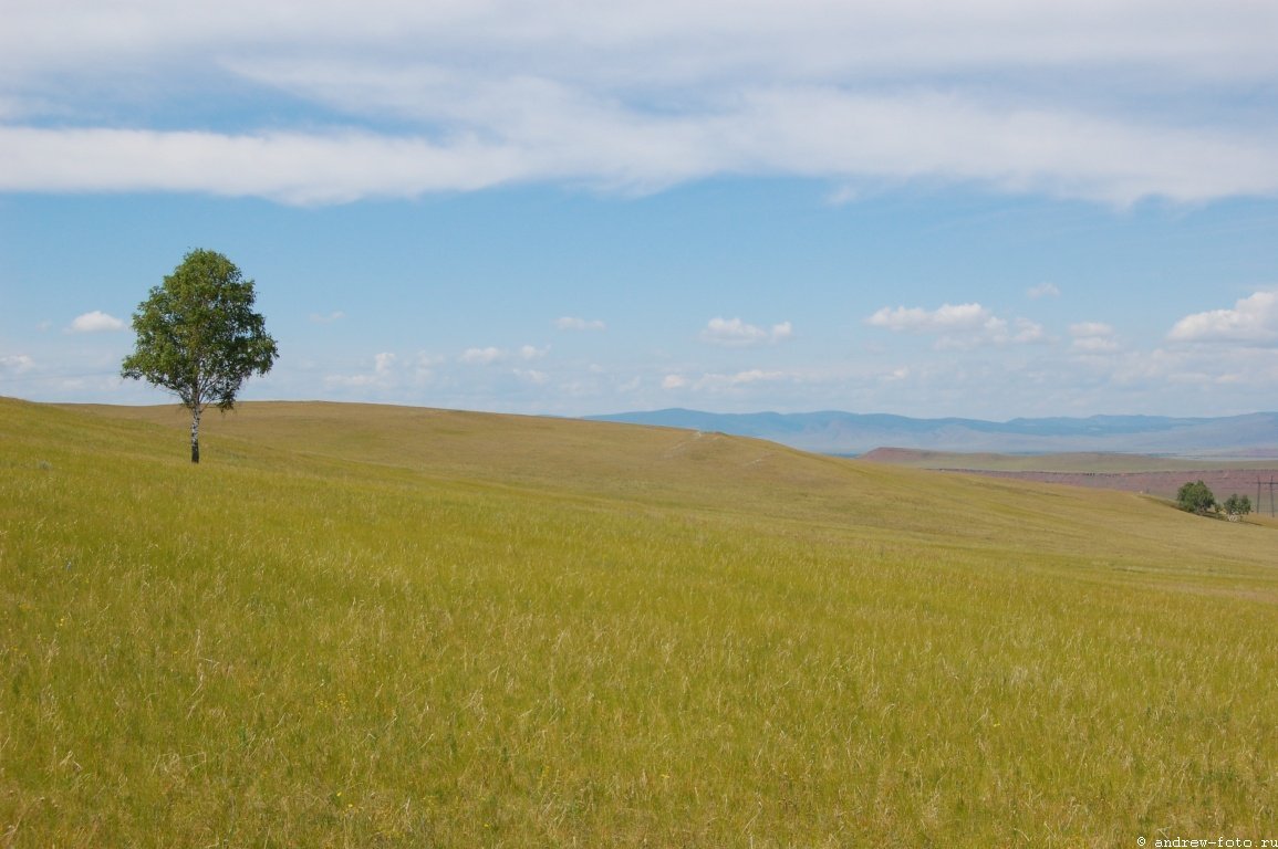 Властители Степи: Половцы Властители Степи: Половцы