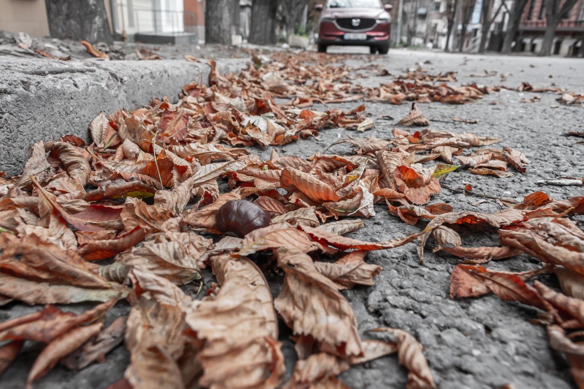 Но это не точно Но это не точно