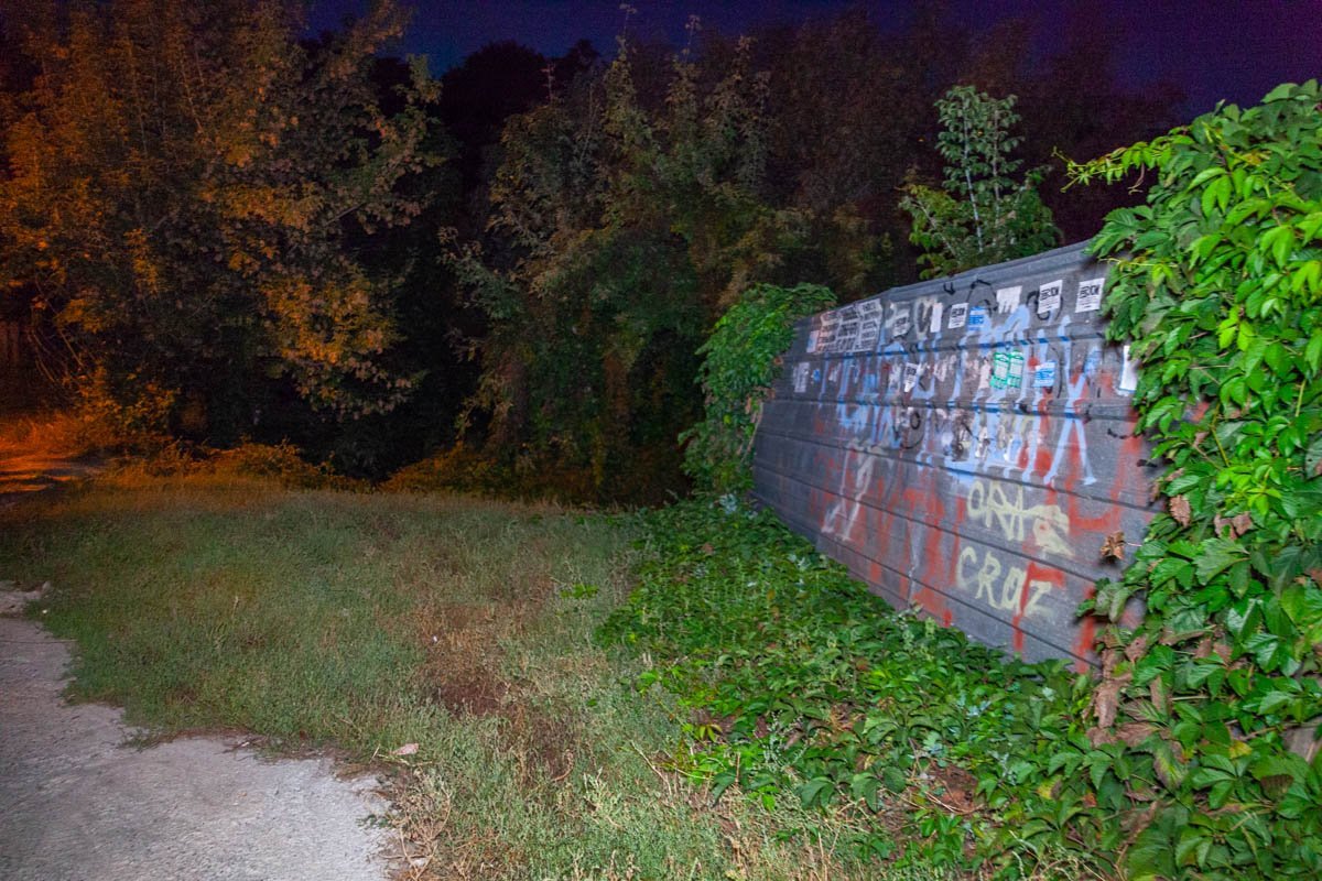 В водоеме на улице Аптекарская балка обнаружили отрубленную голову