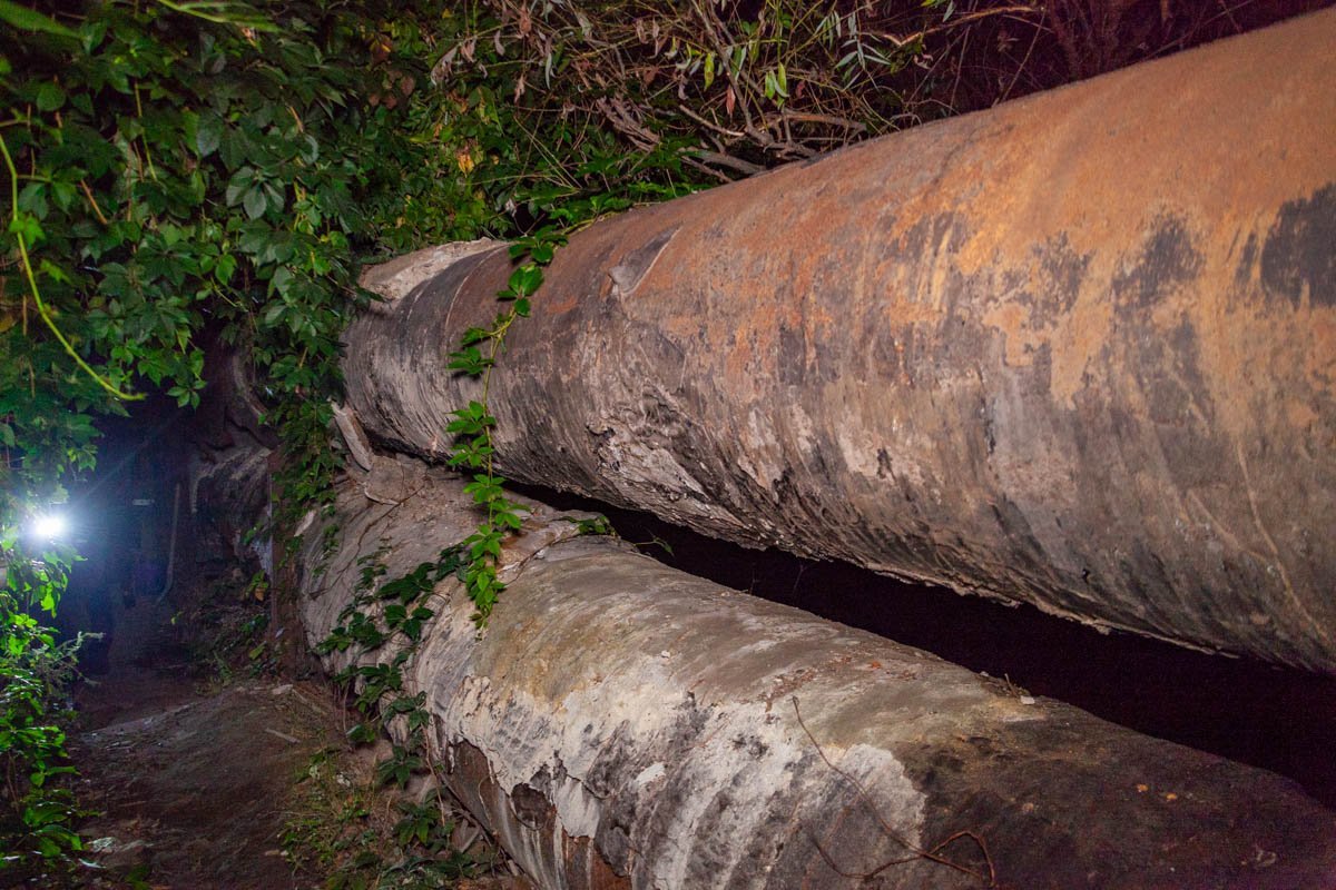 Человеческие останки обнаружили жители балки, проходившие мимо