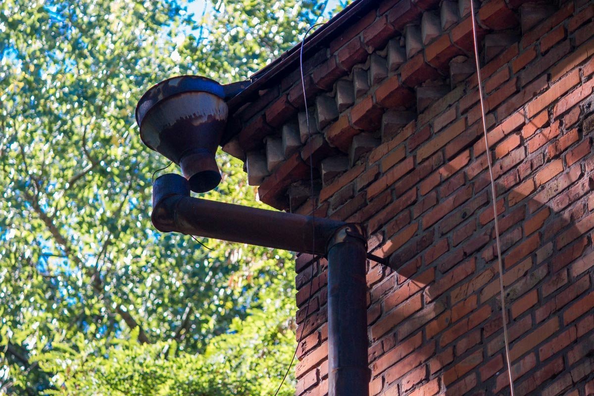 Фото: Денис Чубченко Фото: Денис Чубченко