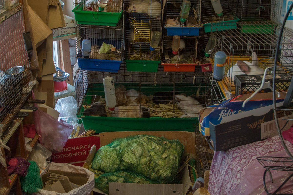 Ну просто очень много места Ну просто очень много места